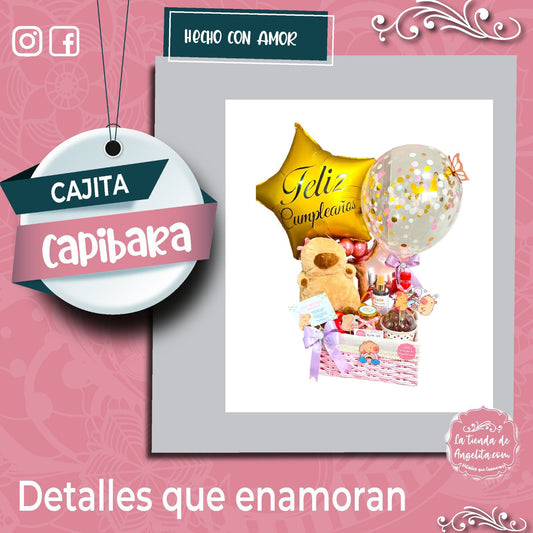 Ancheta Cajita Capibara ✨