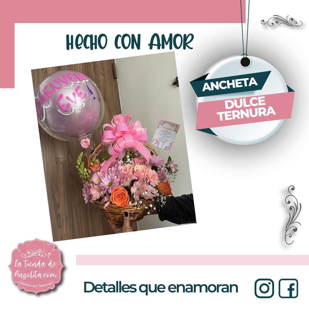 Ancheta Dulce Ternura ✨